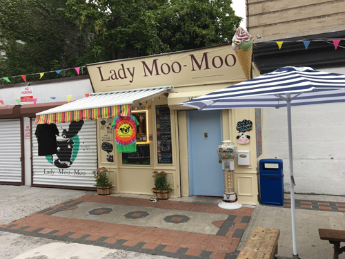 Lady Moo Moo, Ice Cream, Bedford Stuyvescant, Brooklyn, NYC