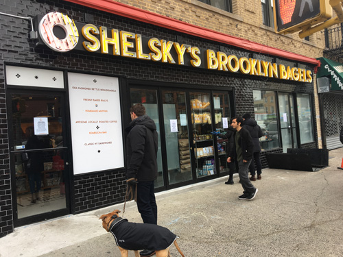 Shelsky's Brooklyn Bagels, Park Slope, Brooklyn, NYC