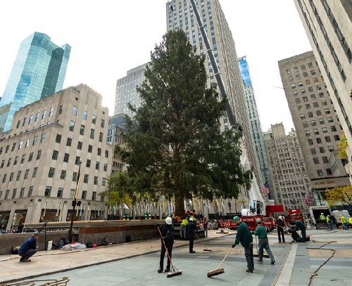 The Arrival of the Rockefeller Center Christmas Tree 2021