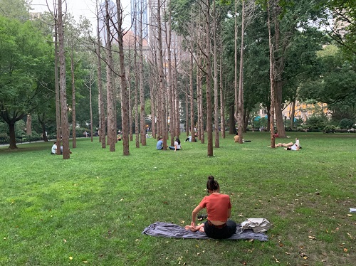Ghost Forest, Maya Lin, Madison Square Park, NYC