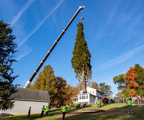 Rockefeller Center Christmas Tree Cut Down in Elkton, MD 2021