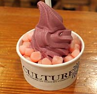 Culture An American Yogurt Company 