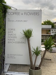 Coffee + Flowers 