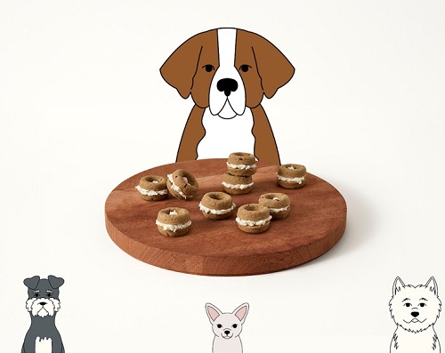 H&H Bagels to Offer New “Puppyseed Bagel” for Your Favorite Pooch